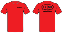 Load image into Gallery viewer, BriskUSA Retro Logo Shirt