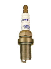 Load image into Gallery viewer, Brisk Silver Racing DR10S Spark Plug
