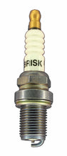 Load image into Gallery viewer, Brisk Silver Racing D12S Spark Plug
