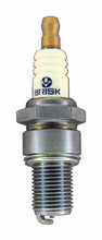 Load image into Gallery viewer, Brisk Silver Racing L10S Spark Plug