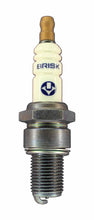 Load image into Gallery viewer, Brisk Silver Racing LR10SL Spark Plug