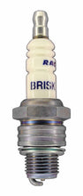 Load image into Gallery viewer, Brisk Silver Racing N10S Spark Plug