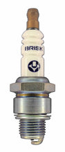 Load image into Gallery viewer, Brisk Silver Racing N11S Spark Plug