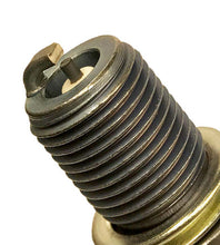 Load image into Gallery viewer, Brisk Silver Racing D12S Spark Plug