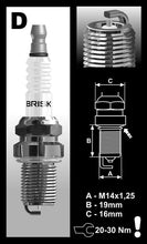 Load image into Gallery viewer, Brisk Silver Racing D12S Spark Plug