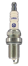 Load image into Gallery viewer, Brisk Silver Racing DR14YS Spark Plug
