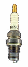 Load image into Gallery viewer, Brisk Silver Racing D12S Spark Plug
