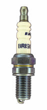 Load image into Gallery viewer, Brisk Silver Racing BR12S Spark Plug
