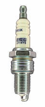 Load image into Gallery viewer, Brisk Silver Racing L10YS Spark Plug
