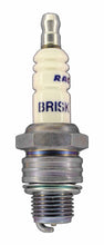 Load image into Gallery viewer, Brisk Silver Racing N10S Spark Plug
