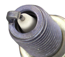 Load image into Gallery viewer, Brisk Silver Racing L10YS Spark Plug
