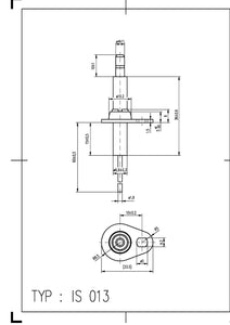 Igniter / Ionization Detector IS 013