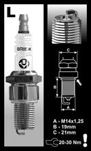 Load image into Gallery viewer, Brisk Silver Racing L10S Spark Plug
