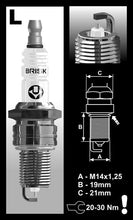 Load image into Gallery viewer, Brisk Silver Racing LR14YS Spark Plug
